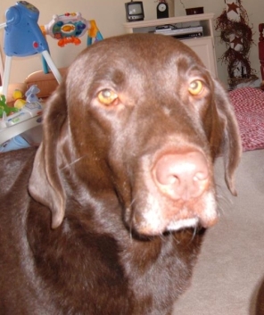 Cooper R.